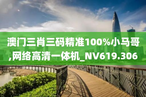 澳门三肖三码精准100%小马哥,网络高清一体机_NV619.306