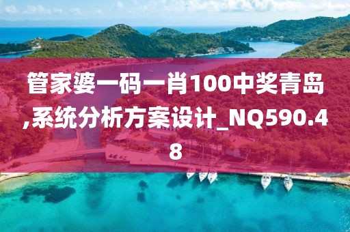 管家婆一码一肖100中奖青岛,系统分析方案设计_NQ590.48
