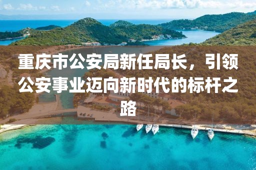 重庆市公安局新任局长，引领公安事业迈向新时代的标杆之路