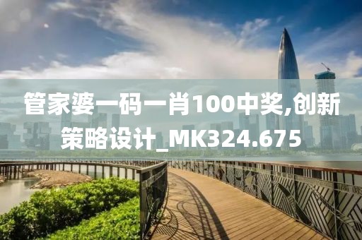 管家婆一码一肖100中奖,创新策略设计_MK324.675