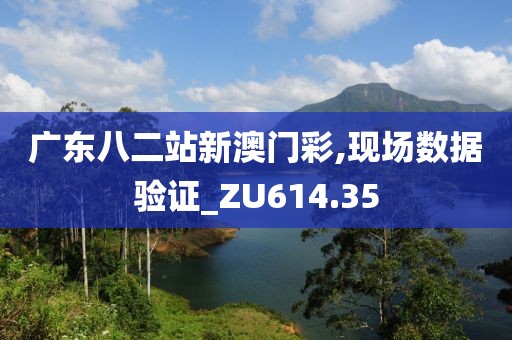 广东八二站新澳门彩,现场数据验证_ZU614.35