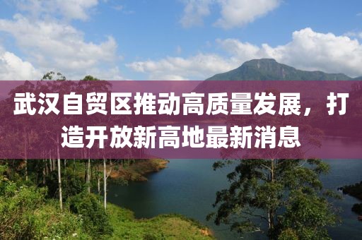 武汉自贸区推动高质量发展，打造开放新高地最新消息