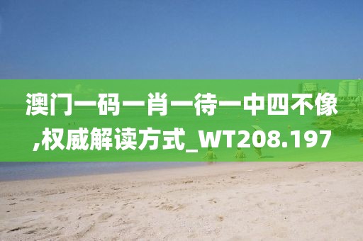 澳门一码一肖一待一中四不像,权威解读方式_WT208.197