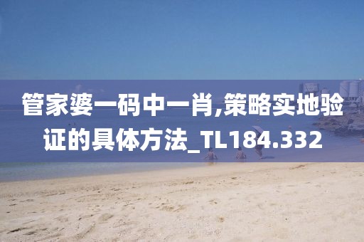 管家婆一码中一肖,策略实地验证的具体方法_TL184.332