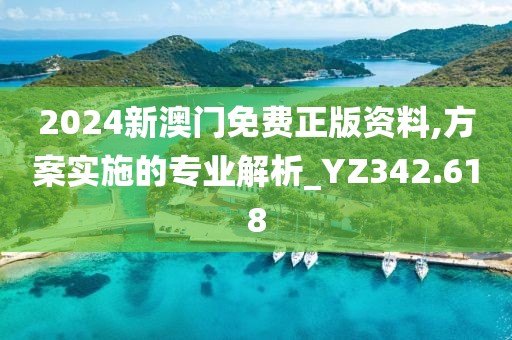 2024新澳门免费正版资料,方案实施的专业解析_YZ342.618