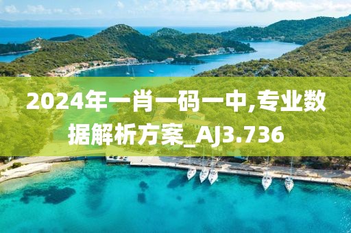 2024年一肖一码一中,专业数据解析方案_AJ3.736