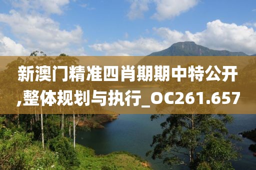 新澳门精准四肖期期中特公开,整体规划与执行_OC261.657