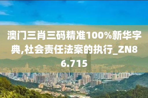 澳门三肖三码精准100%新华字典,社会责任法案的执行_ZN86.715