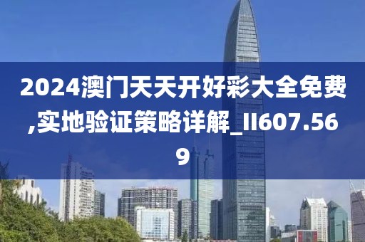 2024澳门天天开好彩大全免费,实地验证策略详解_II607.569