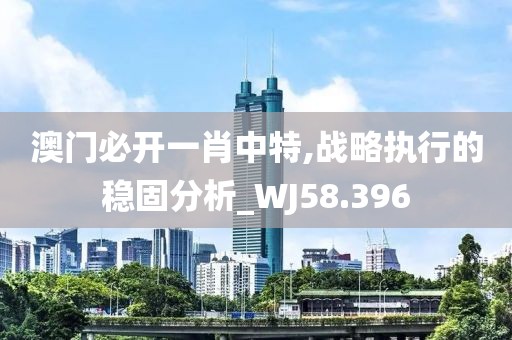 澳门必开一肖中特,战略执行的稳固分析_WJ58.396