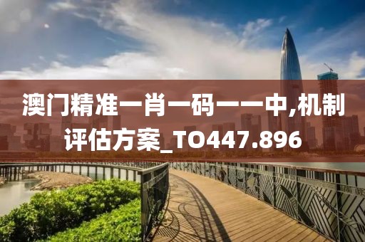 澳门精准一肖一码一一中,机制评估方案_TO447.896