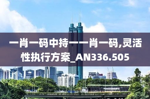 一肖一码中持一一肖一码,灵活性执行方案_AN336.505