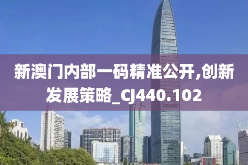 新澳门内部一码精准公开,创新发展策略_CJ440.102