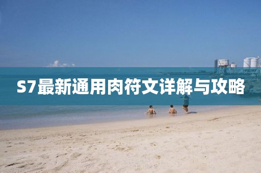 S7最新通用肉符文详解与攻略
