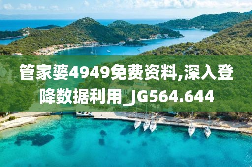 管家婆4949免费资料,深入登降数据利用_JG564.644