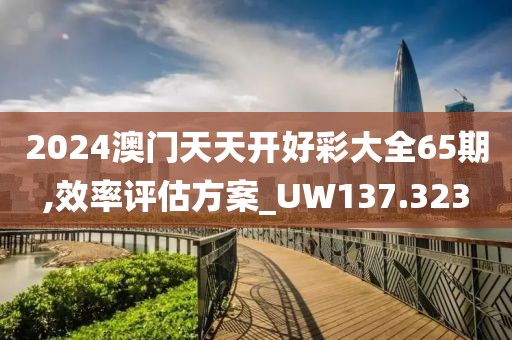 2024澳门天天开好彩大全65期,效率评估方案_UW137.323