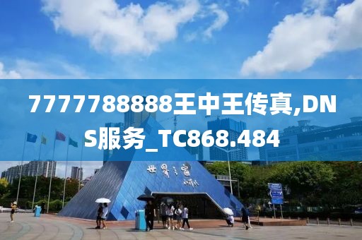 7777788888王中王传真,DNS服务_TC868.484