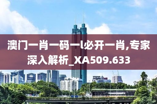 澳门一肖一码一l必开一肖,专家深入解析_XA509.633