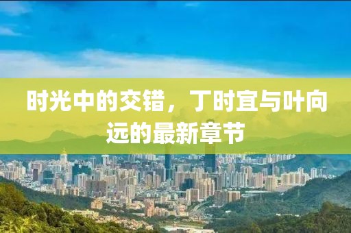 时光中的交错，丁时宜与叶向远的最新章节