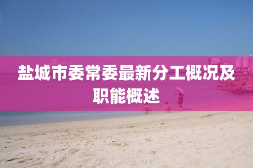 盐城市委常委最新分工概况及职能概述