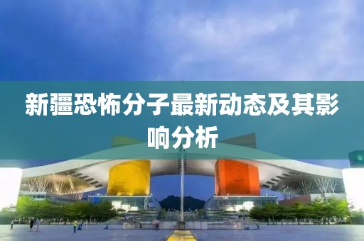 新疆恐怖分子最新动态及其影响分析
