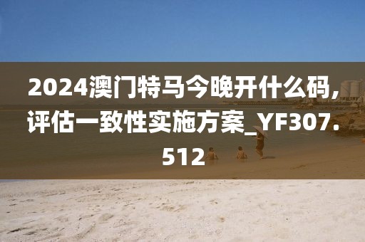 2024澳门特马今晚开什么码,评估一致性实施方案_YF307.512