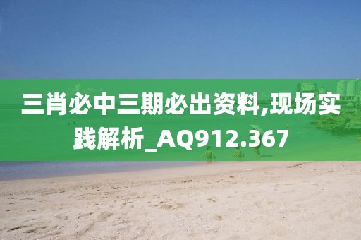 三肖必中三期必出资料,现场实践解析_AQ912.367