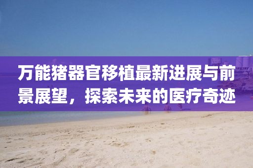 业务范围 第754页