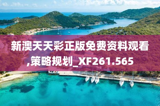 新澳天天彩正版免费资料观看,策略规划_XF261.565