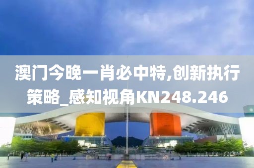 澳门今晚一肖必中特,创新执行策略_感知视角KN248.246
