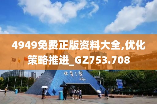 4949免费正版资料大全,优化策略推进_GZ753.708