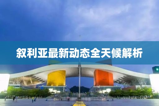 叙利亚最新动态全天候解析