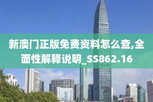 新澳门正版免费资料怎么查,全面性解释说明_SS862.16