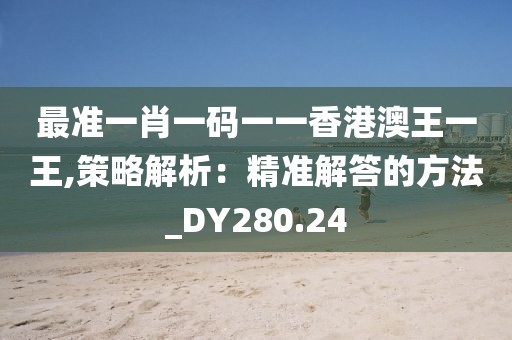 最准一肖一码一一香港澳王一王,策略解析：精准解答的方法_DY280.24