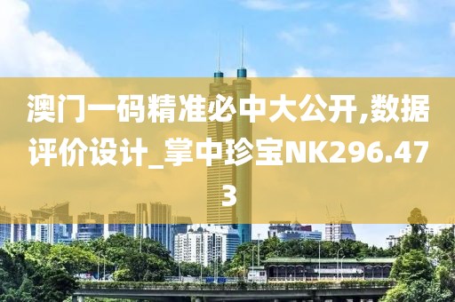澳门一码精准必中大公开,数据评价设计_掌中珍宝NK296.473
