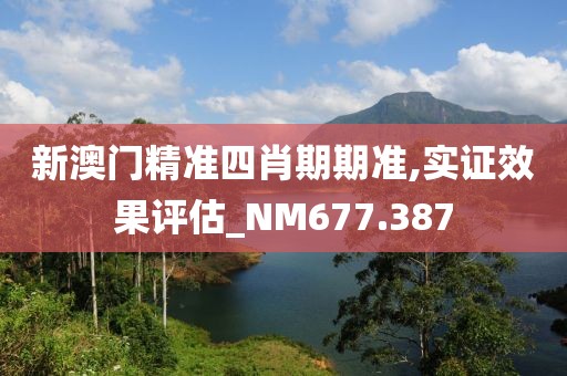 新澳门精准四肖期期准,实证效果评估_NM677.387
