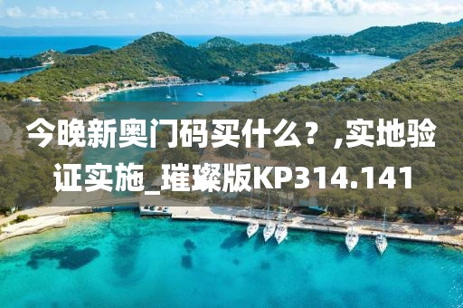今晚新奥门码买什么？,实地验证实施_璀璨版KP314.141