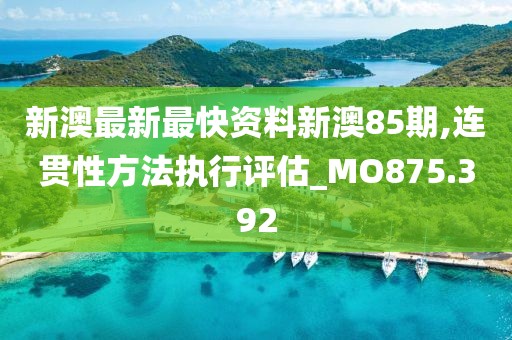 新澳最新最快资料新澳85期,连贯性方法执行评估_MO875.392
