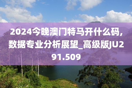 2024今晚澳门特马开什么码,数据专业分析展望_高级版JU291.509