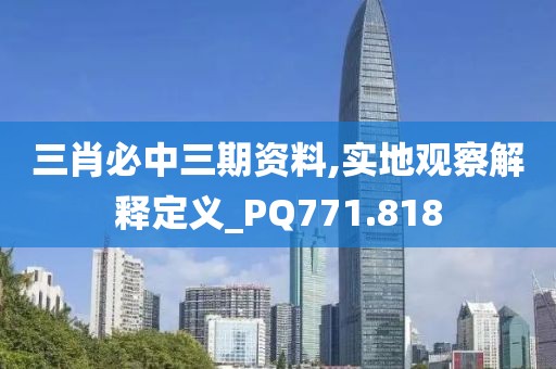 三肖必中三期资料,实地观察解释定义_PQ771.818