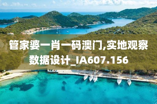 管家婆一肖一码澳门,实地观察数据设计_IA607.156