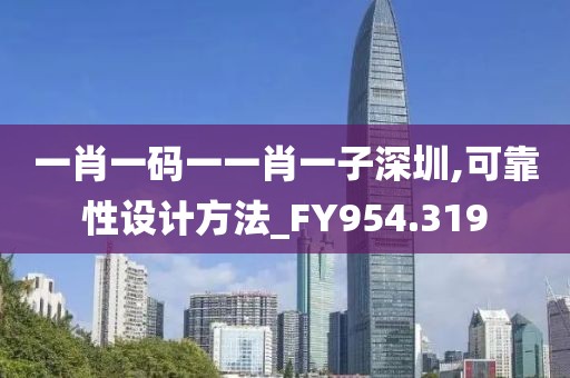 一肖一码一一肖一子深圳,可靠性设计方法_FY954.319
