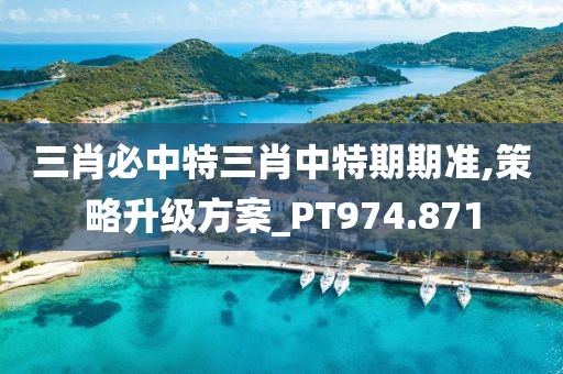 三肖必中特三肖中特期期准,策略升级方案_PT974.871