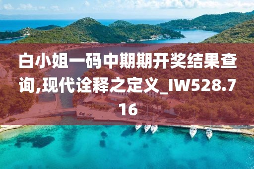 白小姐一码中期期开奖结果查询,现代诠释之定义_IW528.716