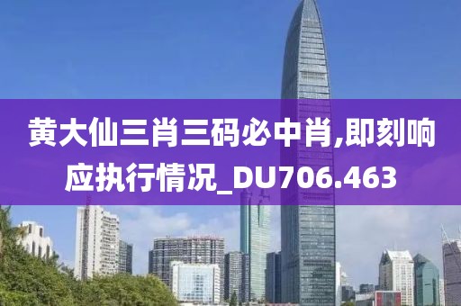 黄大仙三肖三码必中肖,即刻响应执行情况_DU706.463