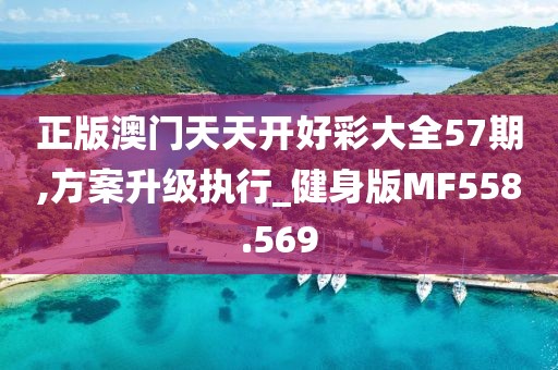 正版澳门天天开好彩大全57期,方案升级执行_健身版MF558.569