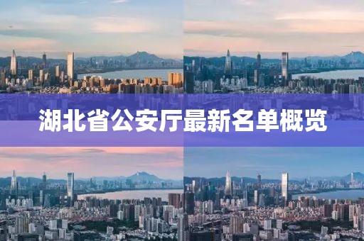 湖北省公安厅最新名单概览