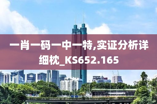 一肖一码一中一特,实证分析详细枕_KS652.165