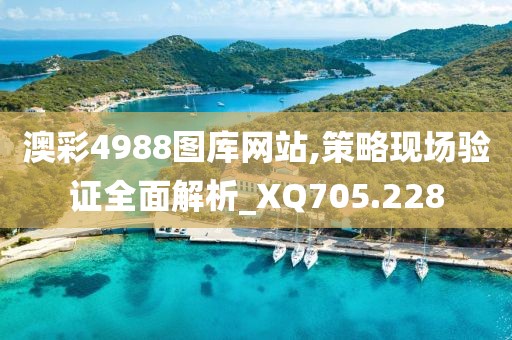 澳彩4988图库网站,策略现场验证全面解析_XQ705.228