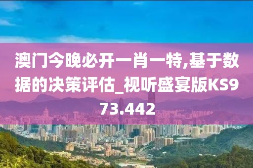 澳门今晚必开一肖一特,基于数据的决策评估_视听盛宴版KS973.442